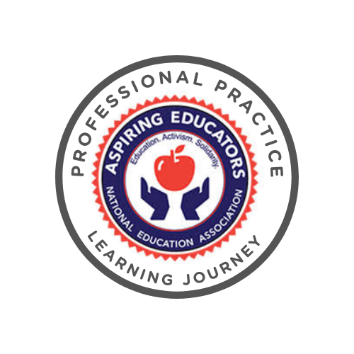 Aspiring Educator 3 Professional Practice